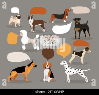 Set of colored vector dog breeds with empty speech bubbles featuring an alsation  pug  bloodhound  rottweiler  beagle  dalmation  poodle  fox terrier Stock Vector