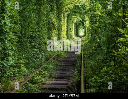 Tunnel of Love ( railway  in forest near Klevan, Ukraine) Stock Photo