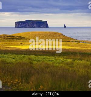 Drangey Island in Skagafjoerdur, Iceland, Europe Stock Photo