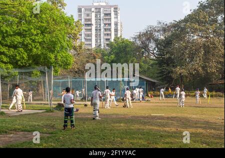 Young boys in white uniform engaged in cricket sports training at a city park at Kolkata, India Stock Photo