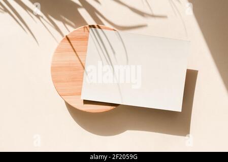 Card on beige background with palm leaves shadows. Minimal concept mock up background. Stock Photo