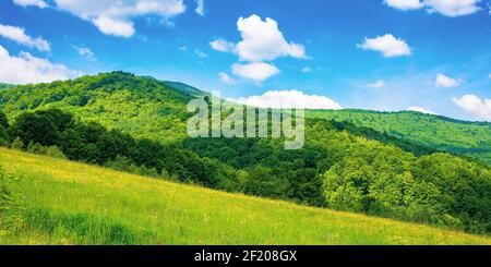 rural landscape of ukrainian carpathians. beautiful summer scenery in mountains. green grassy meadow by the forest on the hill. mountain peak beneath Stock Photo