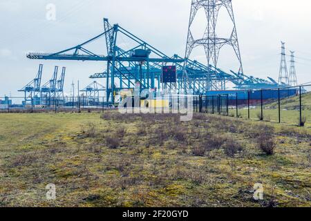 Doel, Antwerpo, Belgium. Container Terminal inside Port of Antwerp, bordering the ghost town village Doel. Wasteland now not in use is soon to be occupied by a new terminal, for which Ghost Town Doel has to be demolished. Stock Photo