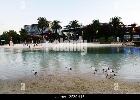 The Boat pool at Stanley St Plaza, South Brisbane, Queensland, Australia. Stock Photo