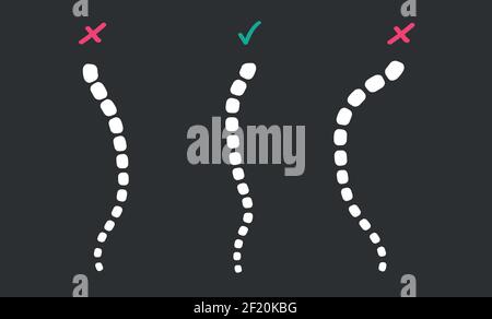 Three spines on the screen. Vector Illustration Doctor Studying Problems Spine Patient.  Stock Vector