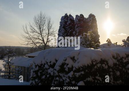 House and garden trees covered in snow on a cold and sunny winters day Stock Photo