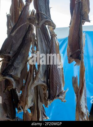 Close-up of dried whiting (or merling) fish on a fish market in Ostend, Belgium Stock Photo