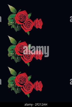 Frames - a bouquet of three red roses. Flowers on the black background of the A4, vertical image. Isolate. Plants Stock Vector
