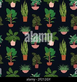 Seamless pattern from different potted house plants in colorful flower pots. Snake plant, calathea and ficus Stock Vector