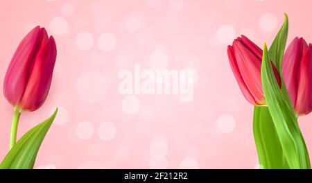 Realistic Natural Tulips Flower Background. Vector Illustration Stock Vector