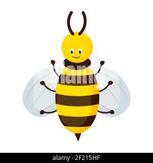 Cute, adorable bee character in cartoon style isolated on white background. Smiling honeybee, insect. Childish bug with stripes. . Vector illustration Stock Vector