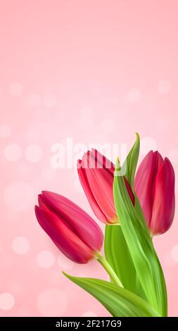 Realistic Natural Pink Tulips Flower Background. Vector Illustration Stock Vector