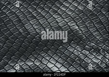 Natural python leather, skin texture for background. Stock Photo by  ©tawanlubfah 89909158