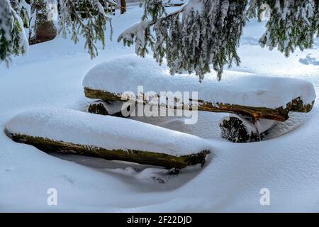 wooden benches in the mountain covered with snow Vitosha mountain in Bulgaria; Stock Photo