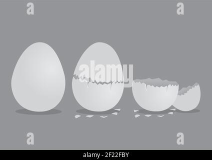 Vector illustration of perfect egg, cracked egg and broken pieces of shells isolated on grey background. Stock Vector