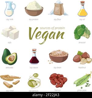 Vegan sources of protein. Plant based protein icons in cartoon style. Peas and haricot, hazelnut and avocado, broccoli and soy, vector illustration Stock Vector