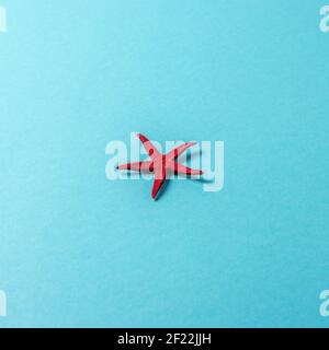 Creative composition with red starfish on bright background. Summer minimal concept. Stock Photo