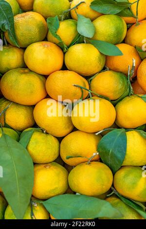 Natural background made of mandarines with leaves. Food background. Stock Photo