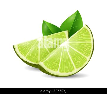 Lime fruit - exotic fruits collection, realistic design vector illustration close-up Stock Vector