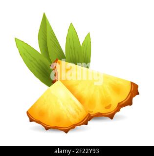 Pineapple fruit - exotic fruits collection, realistic design vector illustration close-up Stock Vector