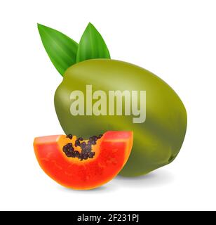 Papaya fruit - exotic fruits collection, realistic design vector illustration close-up Stock Vector