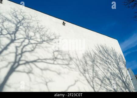 White concret wall of a modern building with shadows of trees on it against a blue sky. Stock Photo