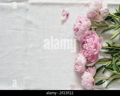 Peony bouquet on white tablecloth Stock Photo