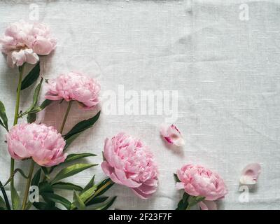 Peony bouquet on white tablecloth Stock Photo