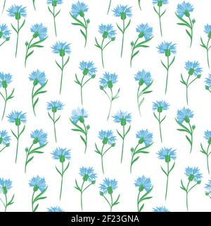 Seamless background with cornflowers. Vector. Delicate solid floral pattern. Blue little wildflowers. Stock Vector
