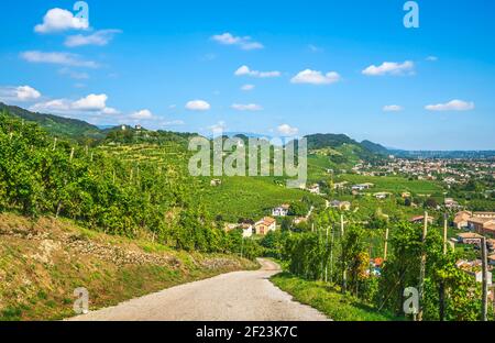 Prosecco Hills, country road and vineyards, San Lorenzo church and Credazzo Towers on background. Unesco Site. Farra di Soligo. Veneto, Italy, Europe. Stock Photo