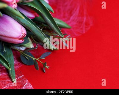 bouquet of pink tulips close-up on a red background copy space Stock Photo