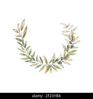 Watercolor hand drawn olive branch illustration Stock Photo - Alamy