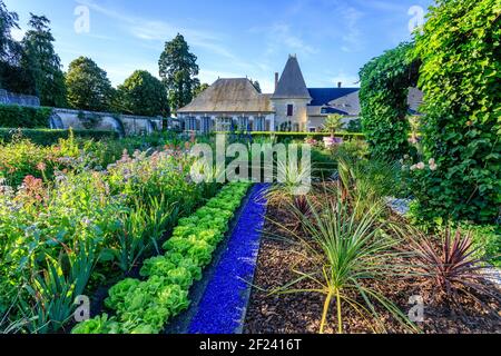 France, Loir et Cher, Cheverny, Chateau de Cheverny, the vegetable garden, purple valerian, borage, iris, lettuce, southern cordylines (Cordyline aust Stock Photo