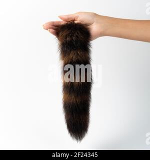 Fur tail toy in woman hand on white background. Stock Photo
