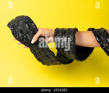 Crocodile leather belt on woman hand. Minimal fashion concept. Stock Photo