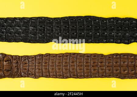 Crocodile leather belts on yellow background. Minimal fashion concept. Stock Photo