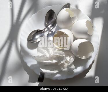 shells of boiled eggs with the remains of yolk and boiled egg white, used paper napkin, teaspoons, all on white plate, under the sun from window on a Stock Photo