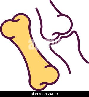 Bone donation RGB color icon Stock Vector