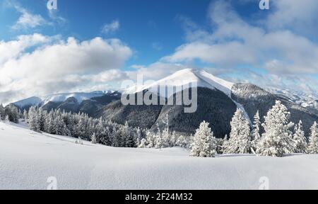 Fantastic winter landscape panorama with snowy trees and snowy peaks. Carpathian mountains, Ukraine. Christmas holiday background. Landscape photography Stock Photo