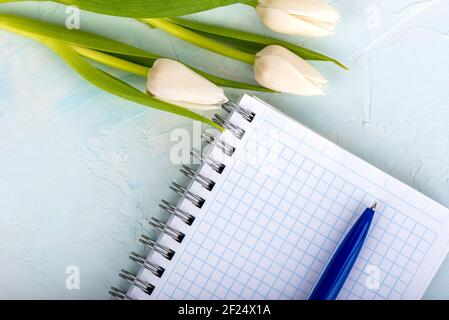 Top view of a notebook with squared sheets and tulips buds. Copy space. Stock Photo