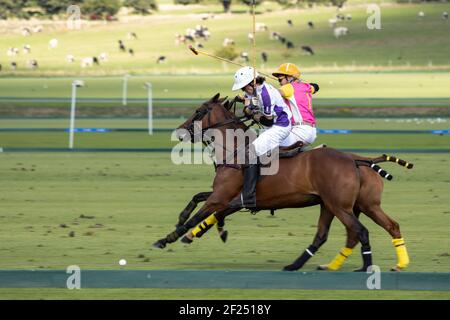 MIDHURST, WEST SUSSEX/UK - SEPTEMBER 1 : Playing polo in Midhurst, West Sussex on September 1, 2020. Two unidentified people Stock Photo