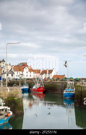 Scotland Pittenweem harbour fishing boat Stock Photo - Alamy