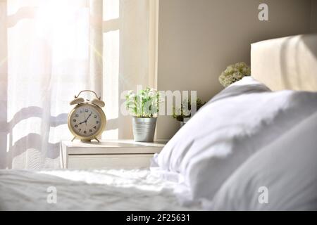 Sunny sleeping room without people with white bedding in the morning with decorated table with alarm clock and plants with window with sunbeam Stock Photo