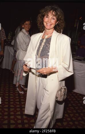 Shirlee Fonda Circa 1988. Credit: Ralph Dominguez/MediaPunch Stock Photo