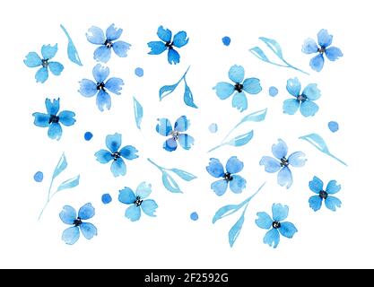 Watercolor blue flowers and leaves isolated on white background. Hand drawn floral illustration Stock Photo