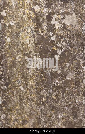 Old flat weathered stone with lichen. Background grunge texture overlay Stock Photo