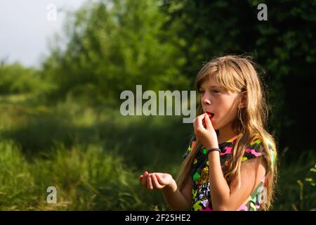 Cute child girl with blonde long hairs is eating strawberry. Bright clothes. She is standing on the grass on a farm in warm summer day. beautiful girl Stock Photo