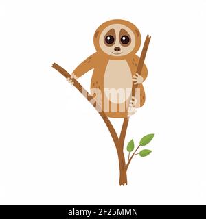 Wild loris on the branch. Vector illustration Stock Vector
