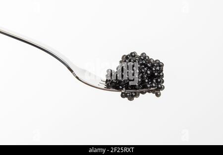 Fresh grainy black paddlefish caviar in metal fork on white background Stock Photo