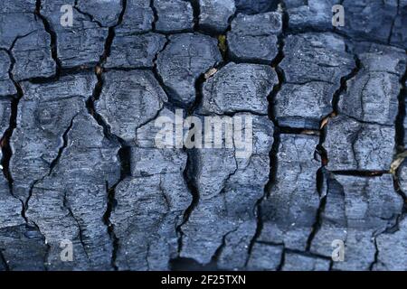 Burned Black Wood Close Up Background Stock Photo